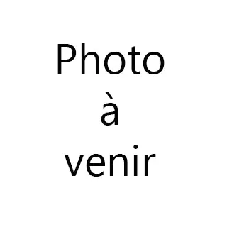 Vaccinium myrtillus teintures mères Boiron - Flacon de 125ml