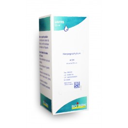 https://www.pharmacie-place-ronde.fr/10809-thickbox_default/harpagophytum-4-dh-boiron-solution-buvable-gouttes-homeopathie.jpg