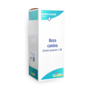 Macérat glycériné Rosa canina jeunes pousses 1 DH Boiron 125 ml