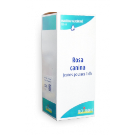 https://www.pharmacie-place-ronde.fr/11532-thickbox_default/macerat-glycerine-rosa-canina-jeunes-pousses-1-dh-boiron-flacon-125-ml.jpg