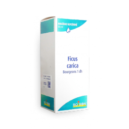 https://www.pharmacie-place-ronde.fr/11534-thickbox_default/macerat-glycerine-ficus-carica-bourgeons-1-dh-boiron-flacon-125-ml.jpg