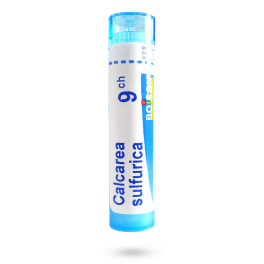 https://www.pharmacie-place-ronde.fr/11617-thickbox_default/calcarea-sulfurica-boiron-tubes-granules-doses.jpg