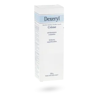 Dexeryl crème sécheresses cutanées 250 g