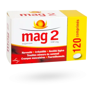 Mag 2 100 mg magnésium 120 comprimés