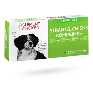 Clément Thékan Strantel vermifuges chiens goût viande boite de 4