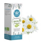 Huile essentielle Camomille Romaine BIO 5 ml - Wellpharma