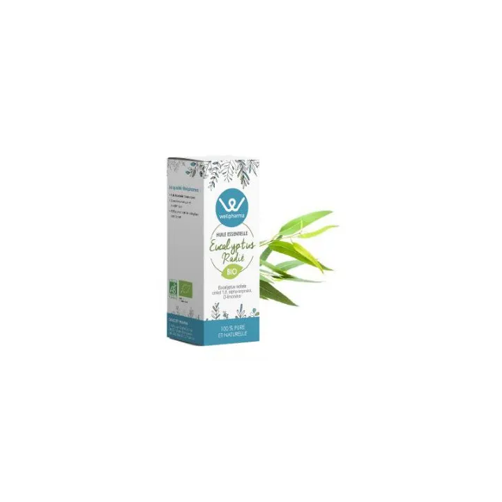 Huile essentielle Eucalyptus Radié BIO 10 ml - Wellpharma