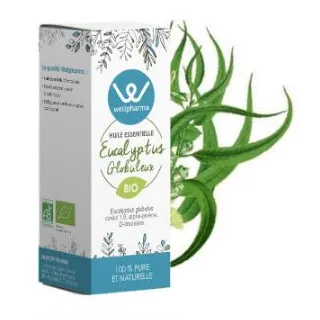 Huile essentielle Eucalyptus Globuleux BIO 10 ml - Wellpharma