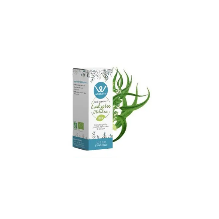 Huile essentielle Eucalyptus Globuleux BIO 10 ml - Wellpharma