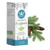 Huile essentielle Pin Sylvestre BIO 10 ml - Wellpharma