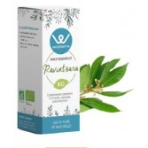 Huile essentielle Ravintsara BIO 10 ml - Wellpharma