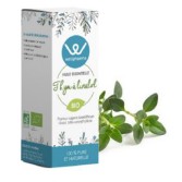 Huile essentielle Thym à Linalol BIO 5 ml - Wellpharma