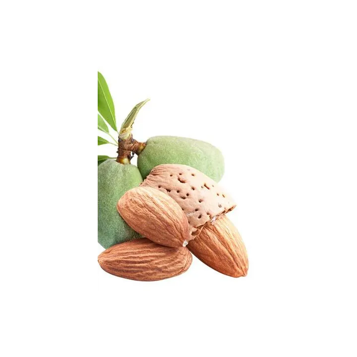 Huile végétale Amande douce BIO 50 ml - Wellpharma