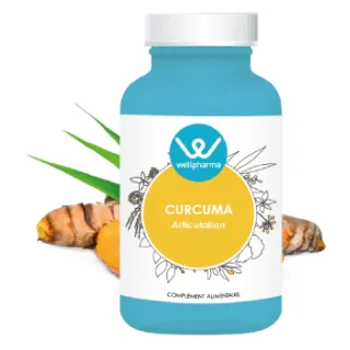 Complément alimentaire Curcuma Wellpharma 90 gélules