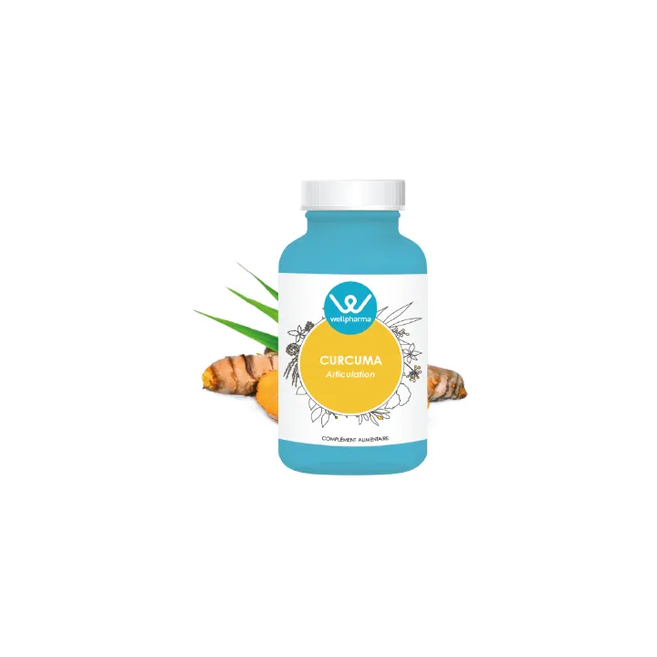 Complément alimentaire Curcuma Wellpharma 90 gélules