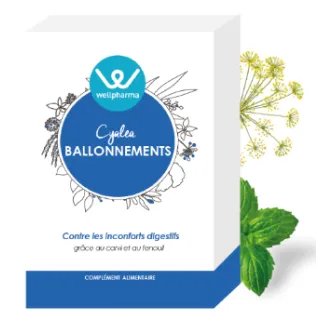 Cyalea Ballonnements Wellpharma inconforts digestifs 60 gélules