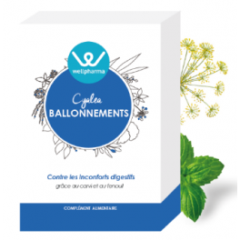 https://www.pharmacie-place-ronde.fr/14640-thickbox_default/cyalea-ballonnements-wellpharma-inconforts-digestifs.jpg