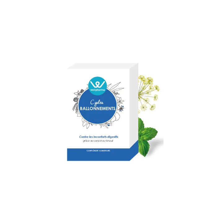 Cyalea Ballonnements Wellpharma inconforts digestifs 60 gélules
