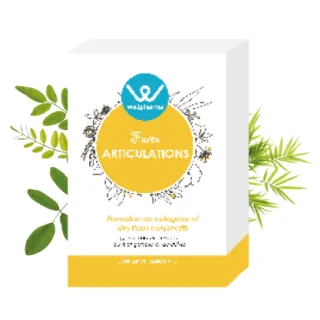 Favea Articulations Wellpharma maintien des tissus conjonctifs 60 gélules