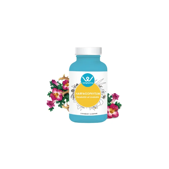 Complément alimentaire Harpagophytum Wellpharma 90 gélules