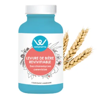 Complément alimentaire Levure de bière revivifiable Wellpharma 90 gélules