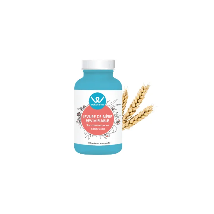 Complément alimentaire Levure de bière revivifiable Wellpharma 90 gélules