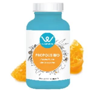 Complément alimentaire Propolis BIO Wellpharma 90 gélules