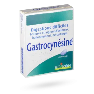 Gastrocynésine Boiron brûlures d'estomac 60 comprimés homéopathiques
