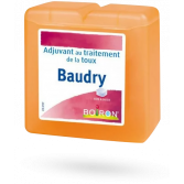 Baudry Boiron Adjuvant au traitement de la toux - Pâtes à sucer 70 g