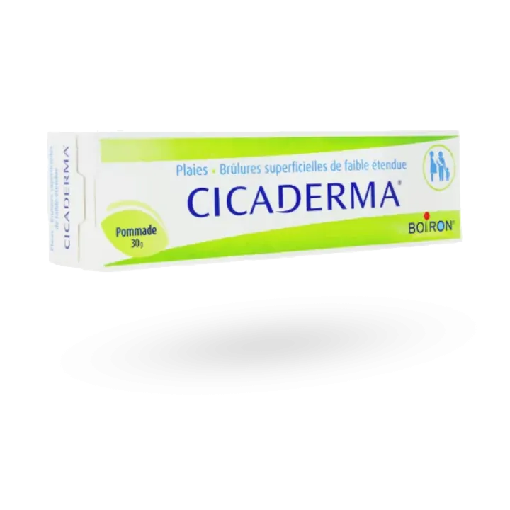 Cicaderma Boiron pommade 30 g