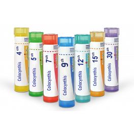 https://www.pharmacie-place-ronde.fr/15382-thickbox_default/colocynthis-boiron-tube-granules-doses.jpg