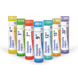 https://www.pharmacie-place-ronde.fr/15397-thickbox_default/chamomilla-vulgaris-boiron-tubes-granules-doses.jpg