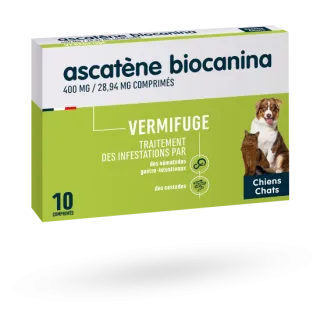 Biocanina Ascatène 400 mg vermifuge chiens et chats 10 comprimés
