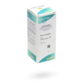 Macérat glycériné Ficus carica bourgeons 1 DH Boiron 125 ml