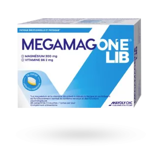 MegamagOne LIB magnésium vitamine B6 45 comprimés