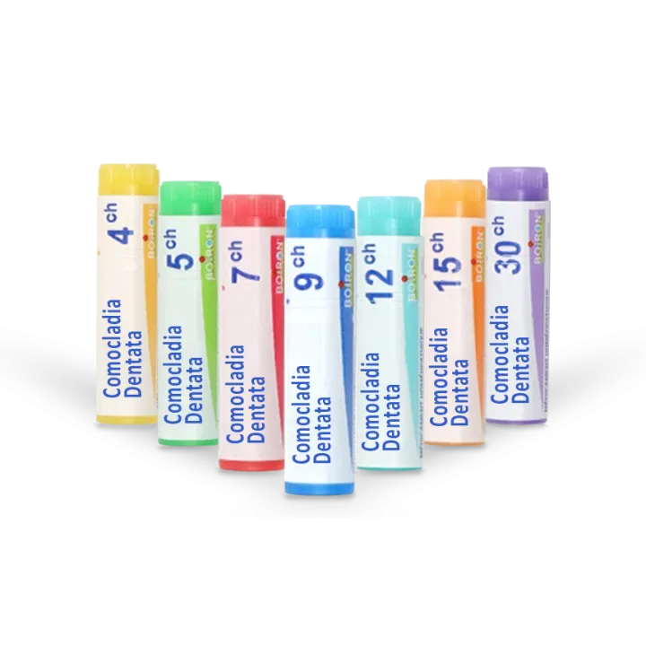 Comocladia Dentata Boiron tubes granules et doses 4 CH 5 CH 7 CH 9 CH 12 CH 15 CH 30 CH