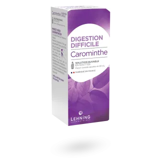 Carominthe Lehning digestion difficile 90 ml