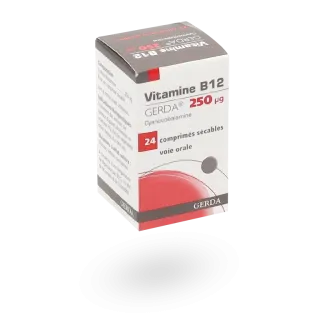 Vitamine B12 Gerda 250 µg 24 comprimés