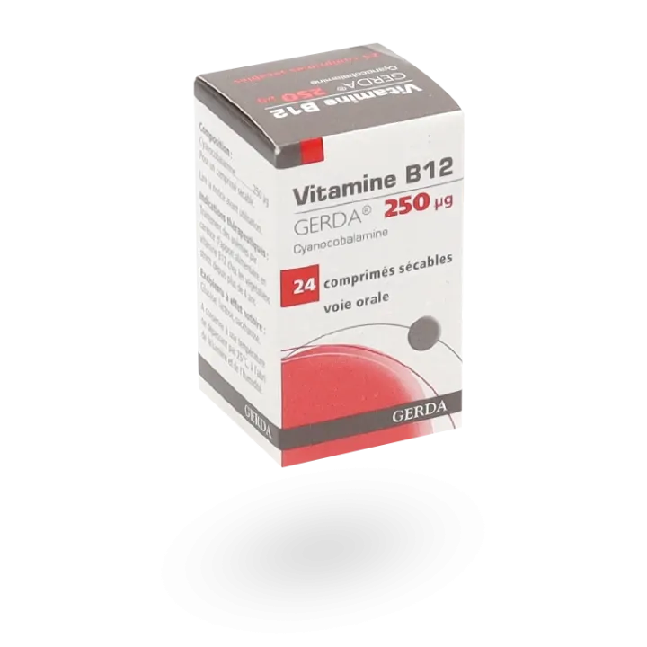 Vitamine B12 Gerda 250 µg 24 comprimés