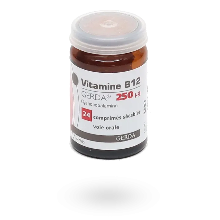 Vitamine B12 Gerda 250 µg 24 comprimés