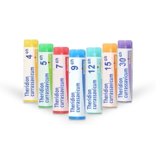 Theridion currassavicum Boiron tubes granules et doses 4 CH 5 CH 7 CH 9 CH 12 CH 15 CH 30 CH