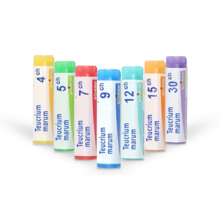 Teucrium marum Boiron tubes granules et doses 4 CH 5 CH 7 CH 9 CH 12 CH 15 CH 30 CH