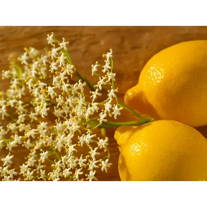 Hydratis citron fleurs de sureau 20 pastilles effervescentes