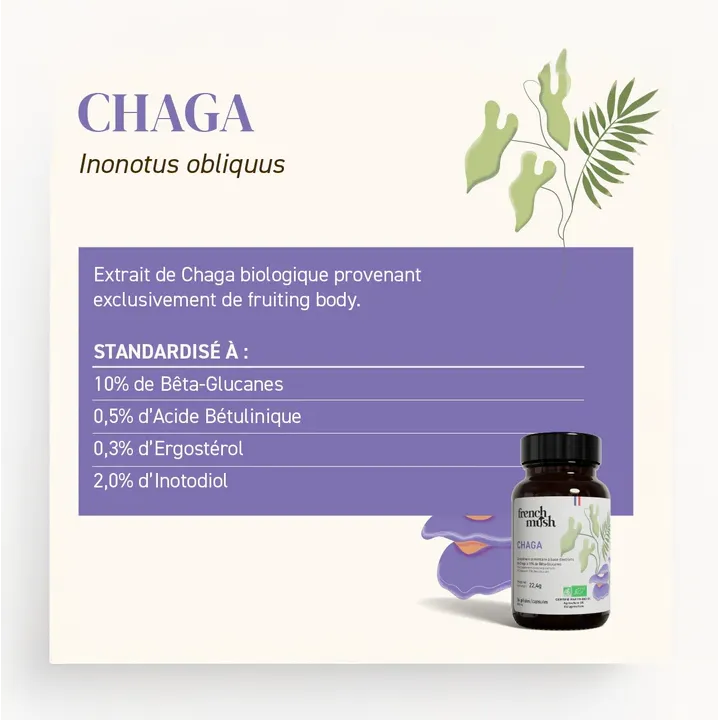French Mush Chaga 56 gélules