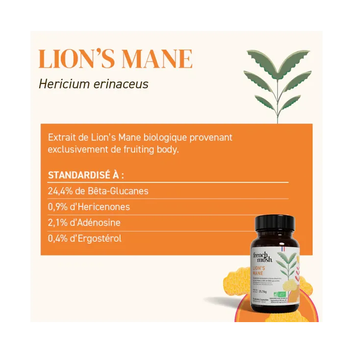 French Mush Lion's Mane 56 gélules