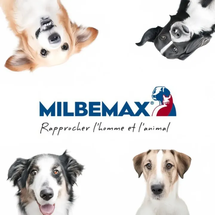 Milbemax Tab chiens 2,5 mg/25 mg 2 comprimés | Pharmacie en ligne