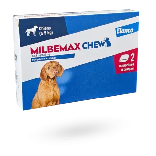 Milbemax Chew 12,5 mg/125 mg 2 comprimés à croquer