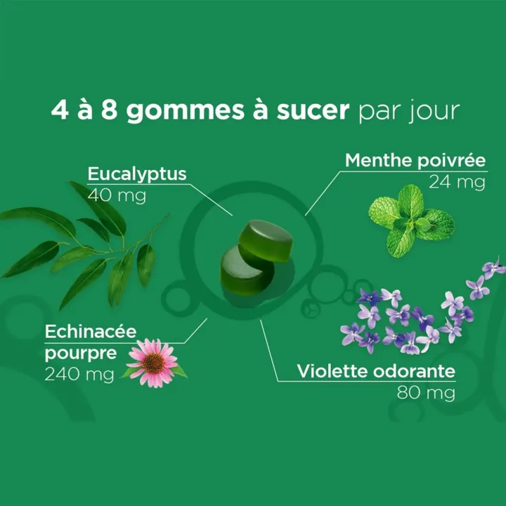 L52 Gommes Respiration Lehning 90 gommes à mâcher | Pharmacie en ligne