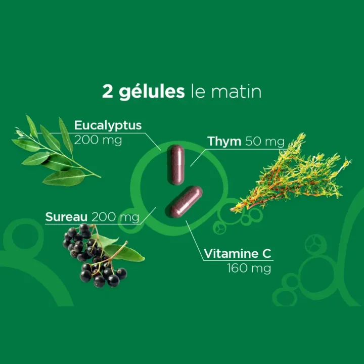 L52 RUB nez gorge Lehning 20 gélules - Respiration & Immunité | Pharmacie en ligne