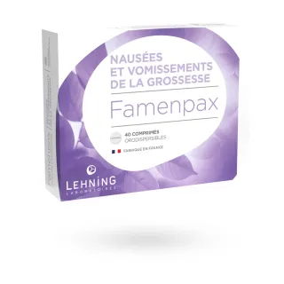Famenpax Lehning nausées et vomissements de la grossesse 40 comprimés orodispersibles